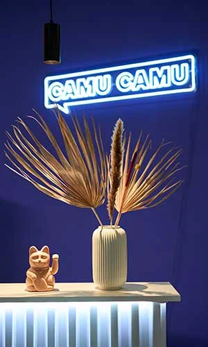 CamuCamu Agentur 7